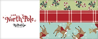 The North Pole